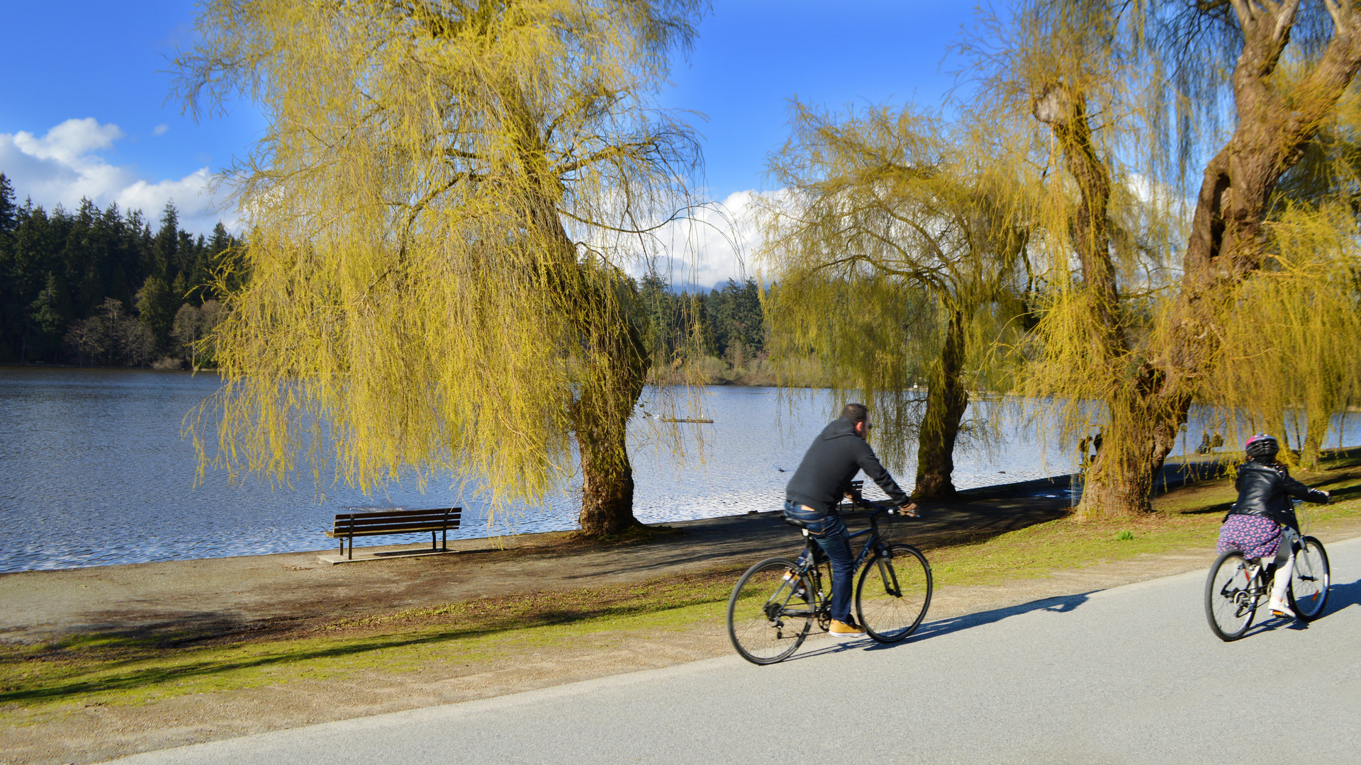 史坦利公园封面图