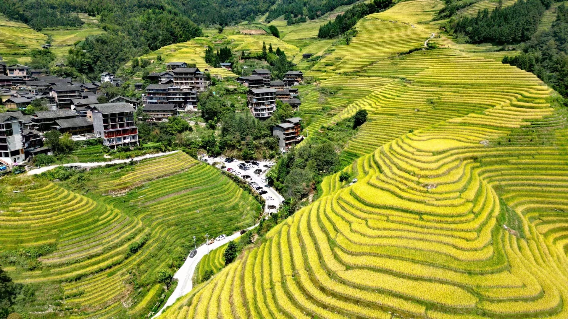 龙脊梯田封面图
