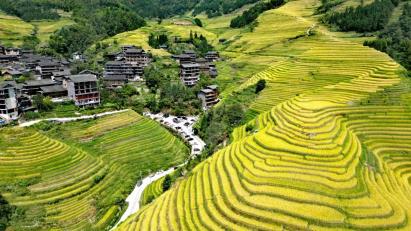 【龙脊神韵】<龙脊梯田、大漓江四星船、银子岩、遇龙河4天3晚高铁团>20人内精品小团