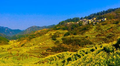 【烟雨徽州】九华山大愿文化园、太平湖 大美黄山（二次上山）、水墨宏村、秀里古村 夜游花山谜窟五天双飞