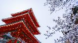 暑期【和风经典】<本州三古都の东京富士山大阪京都奈良镰仓6天>深圳航空深圳往返直飞