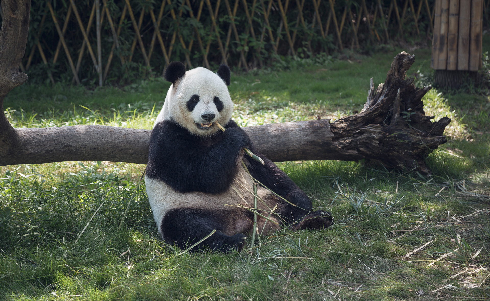 景点封面图