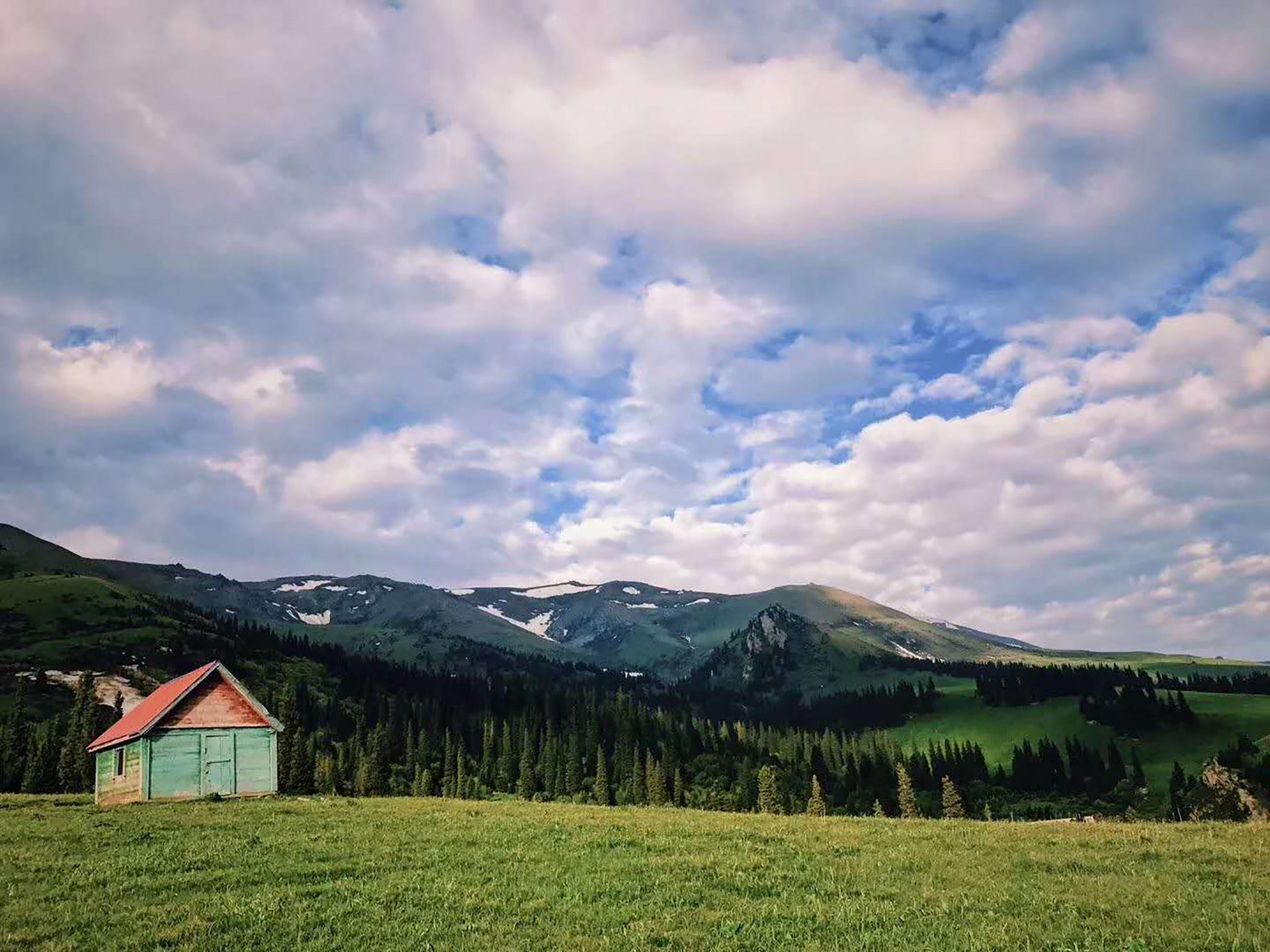 巩乃斯林场封面图