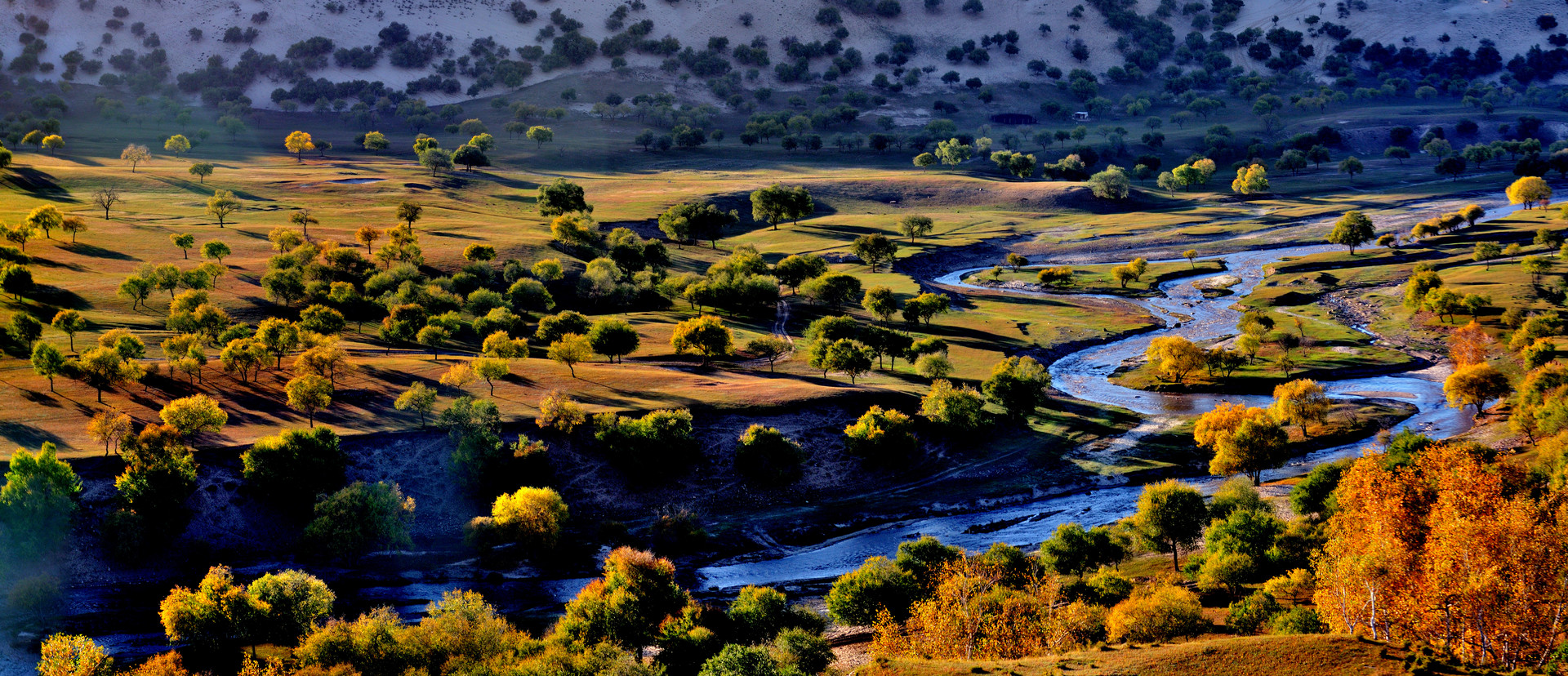 坝上风光封面图