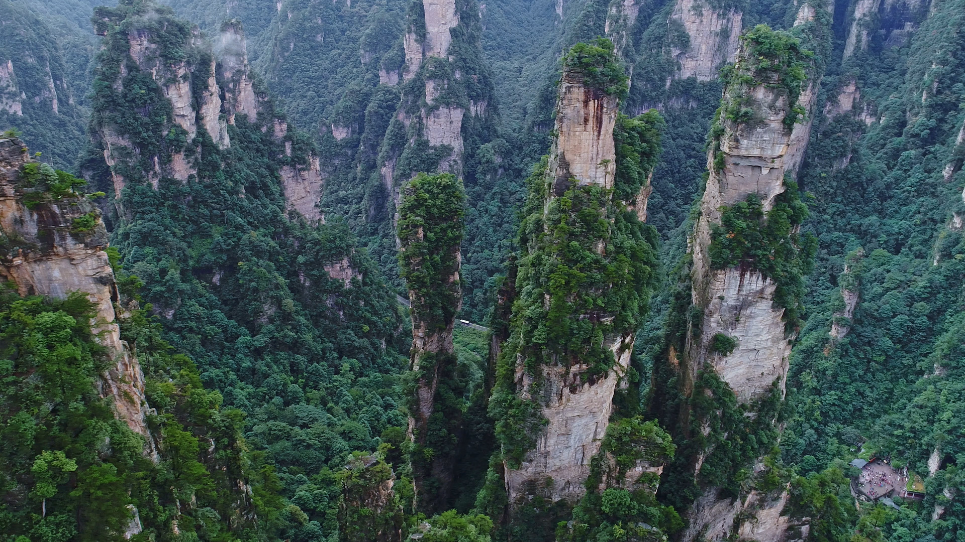 张家界武陵源峰林封面图