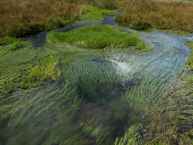 二道海草海图2封面图
